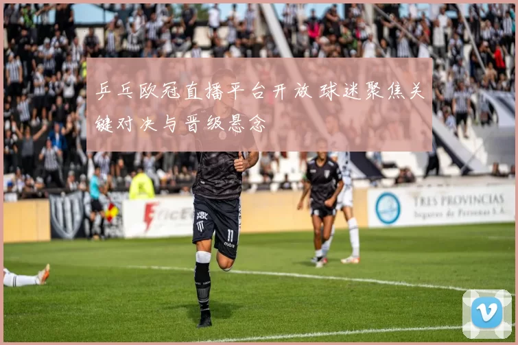 乒乓欧冠直播平台开放 球迷聚焦关键对决与晋级悬念