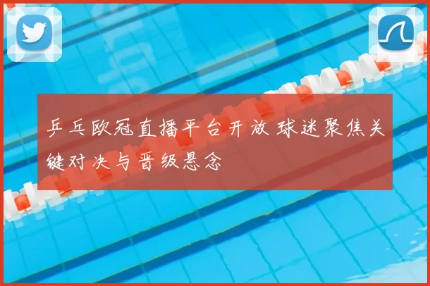 乒乓欧冠直播平台开放 球迷聚焦关键对决与晋级悬念