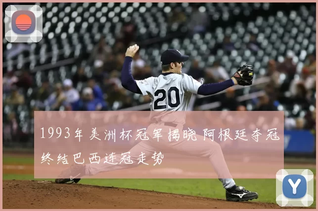 1993年美洲杯冠军揭晓 阿根廷夺冠终结巴西连冠走势