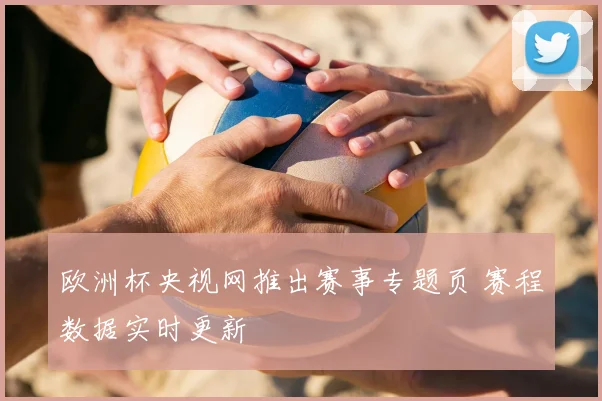 欧洲杯央视网推出赛事专题页 赛程数据实时更新