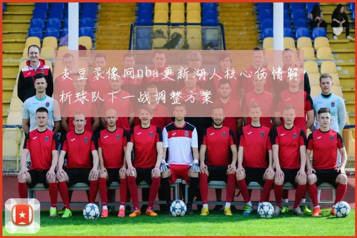麦豆录像网nba更新湖人核心伤情解析球队下一战调整方案