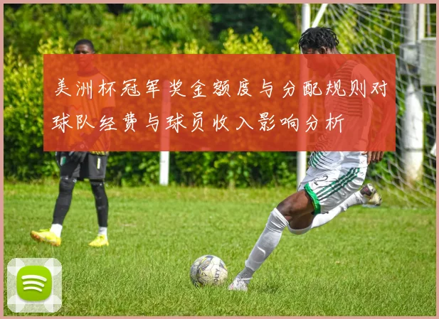 美洲杯冠军奖金额度与分配规则对球队经费与球员收入影响分析